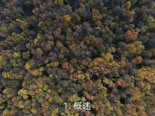 1. 概述