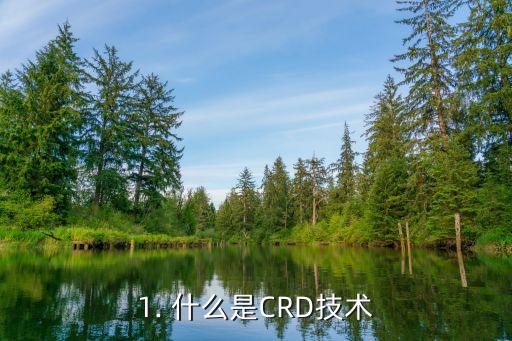 crd,CRD技术重塑现代科技发展方向