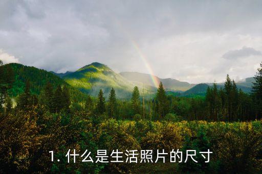 生活照片是5寸还是6寸,生活照片尺寸揭秘：5寸VS6寸