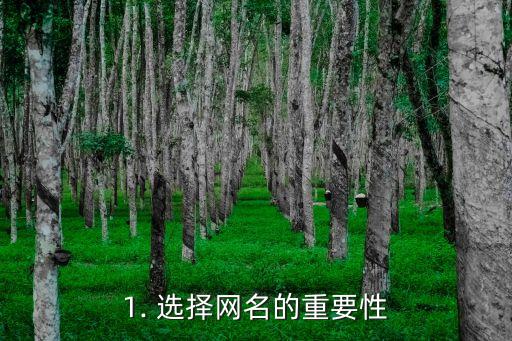 1. 选择网名的重要性