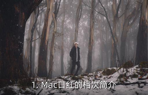 1. Mac口红的档次简介