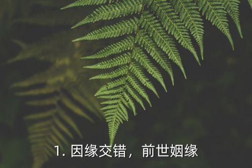 1. 因缘交错，前世姻缘