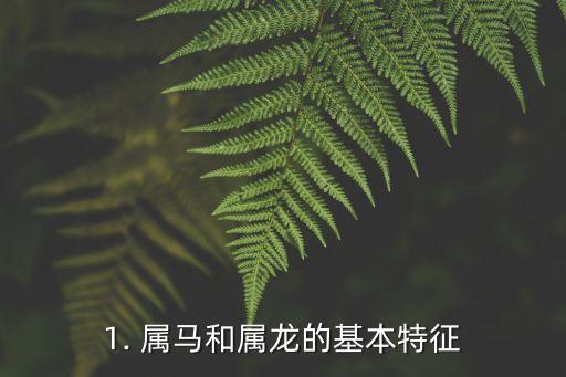 属马和属龙,属马和属龙的差异详解：你们不容错过的分析