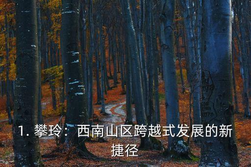 1. 攀玲：西南山区跨越式发展的新捷径