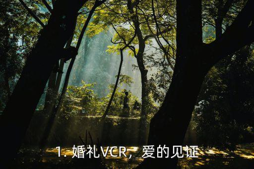 婚礼vcr,情感升华，爱情回忆——用心创作的婚礼视频