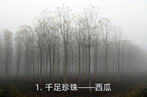 1. 千足珍珠——西瓜