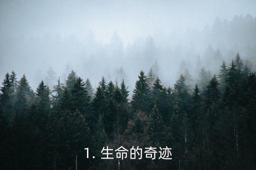 1. 生命的奇迹