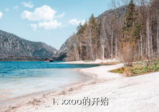 1. xxoo的开始