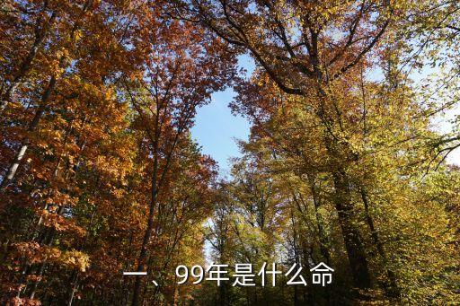 99年是什么命,“九九年运程如何？”——新题目