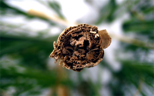 微信网名英文,聊胜于无：微信ID的好英文网名