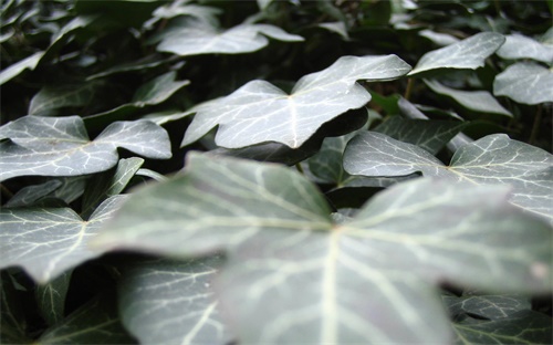 符合大全,拟定符合规范的标题架构，重构全新标题，不能重复超过50%。