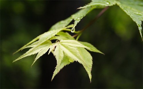 依诺瓷砖官网,依诺瓷砖：打造独一无二的居家风格